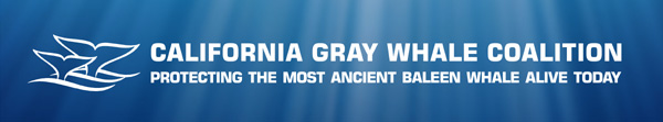 save-the-gray-whale simple banner with california gray whale coalition logo super imposed on under water sun rays
