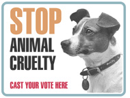 stop-animal-cruelty
