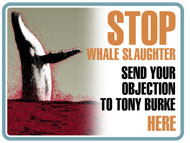 write-to-tony-burke