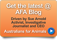 Keep up to date at our Weblog