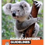 Koala Rescue Guidelines Now Available for Download