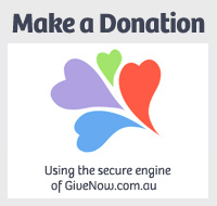 Give Now Donation Button