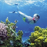 Image of diver underwater on the reef