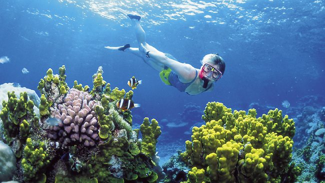 Image of diver underwater on the reef