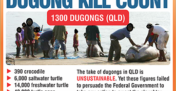 dugong kill count