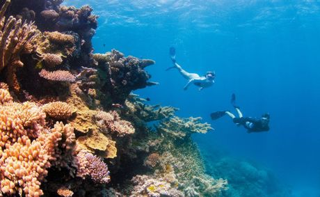 Australia's Great Barrier Reef is one of the major drivers of international visitors. Darren Jew