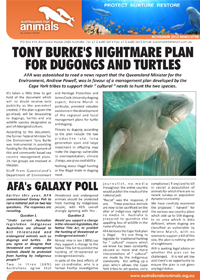 AFA November Newsletter