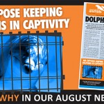 afa opposes keeping dolphins in captivity