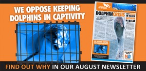 afa opposes keeping dolphins in captivity