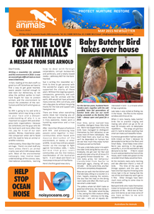 newsletter cover page