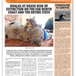 australians for animals newsletter thumbnail image