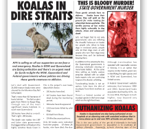 afa november 2016 newsletter cover