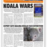 afa jan 2017 newsletter cover