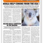 afa may 2017 newsletter cover