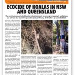 afa october 2017 Newsletter