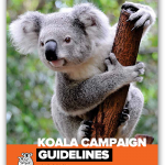 koala rescue guidelines