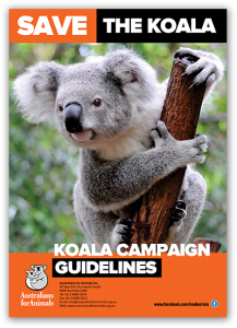 koala rescue guidelines