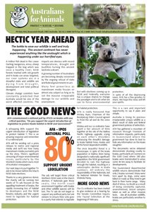 koala crisis newsletter jan 2019