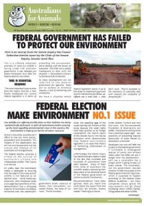 afa koala crisis newsletter
