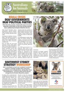 AFA NOVEMBER 2019 NEWSLETTER
