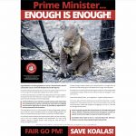 afa open letter to scott morrison