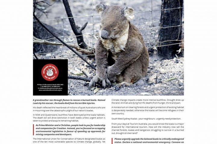 afa open letter to scott morrison