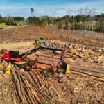 australian forest logging
