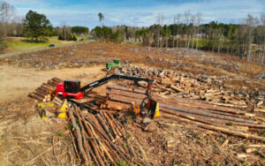 australian forest logging