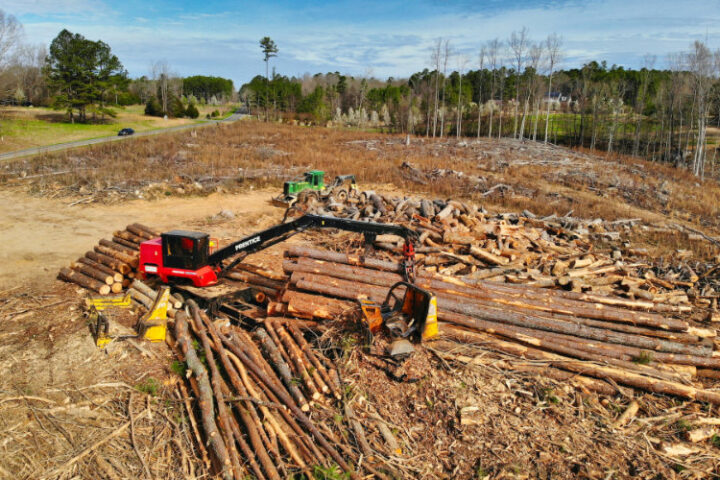 australian forest logging