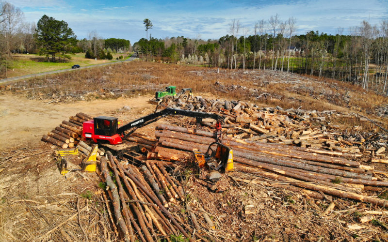 australian forest logging
